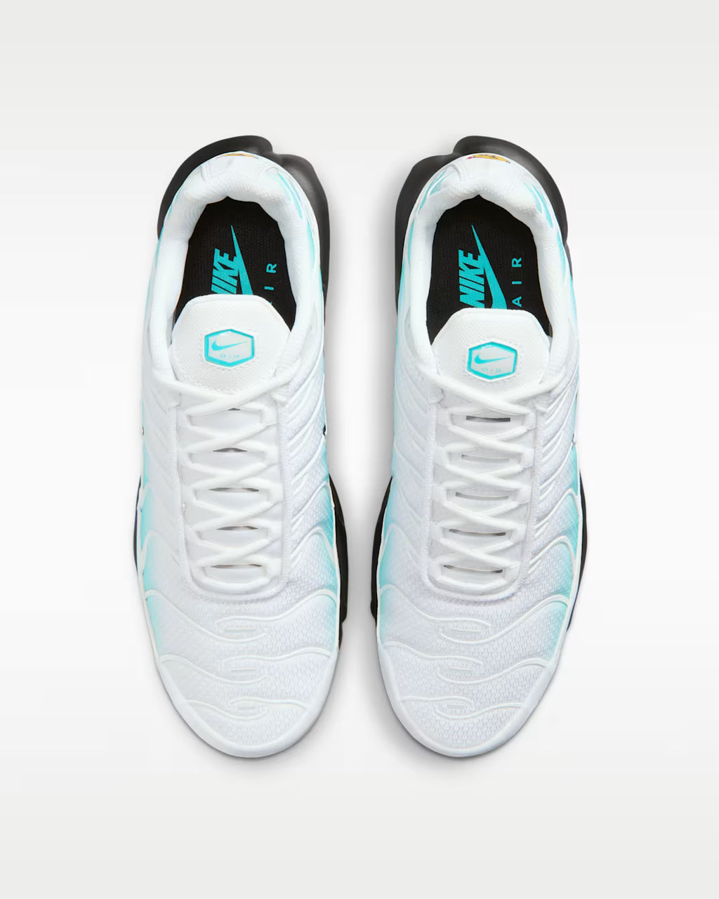 Tn White Limited edition