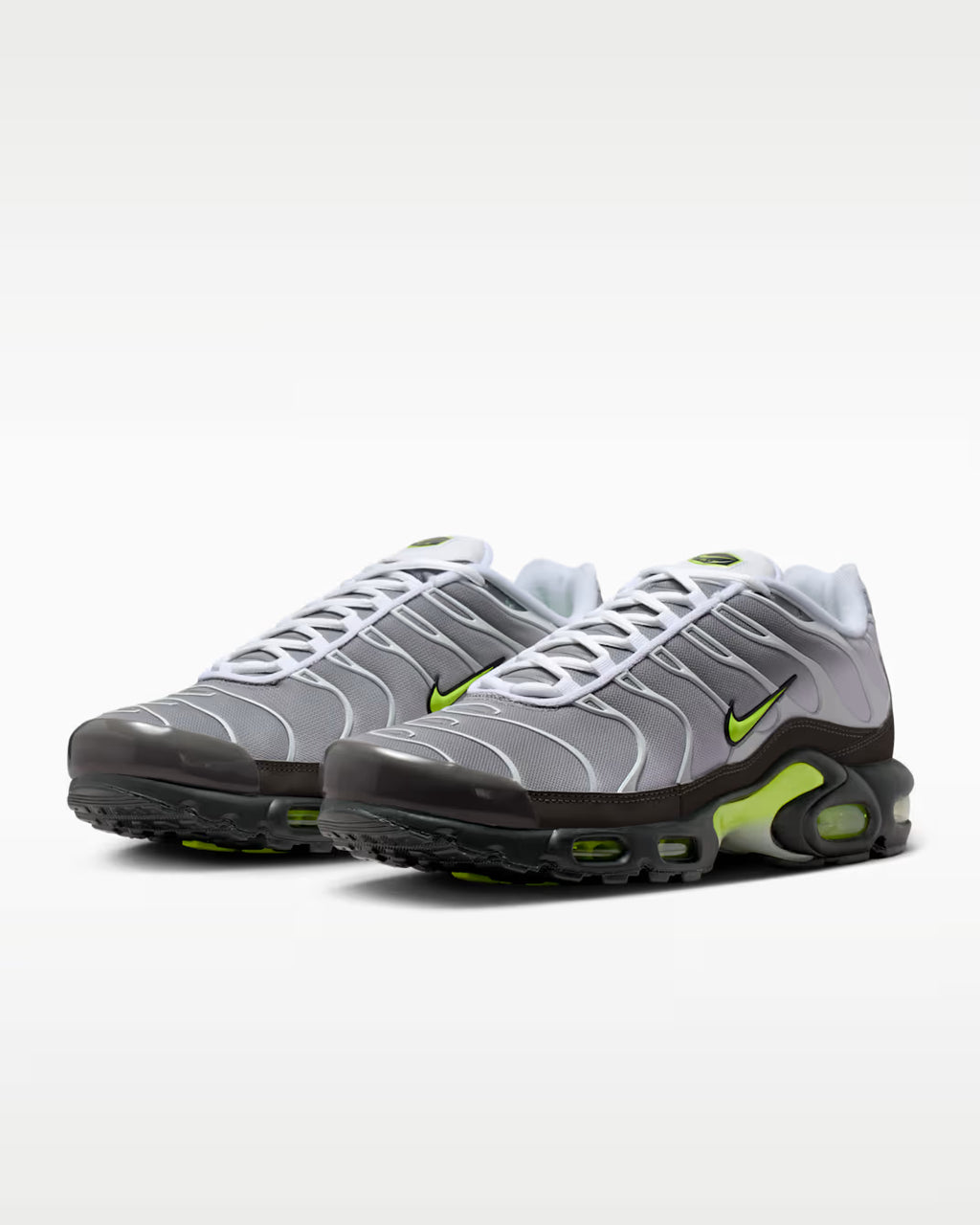 Tn Gray Limited edition